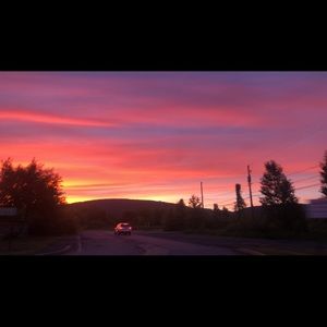 Meet your Posher, Dani